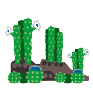 cactus-ilustracion-version-3-final